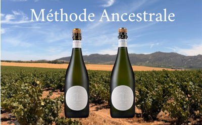 Leeuwenkuil Méthode Ancestrale