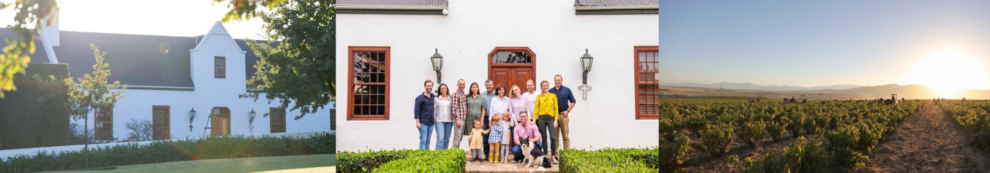Leeuwenkuil Family Vineyards